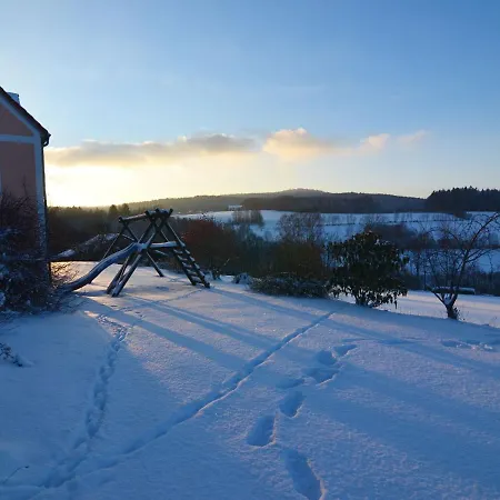 With Amenities, Garden And Sauna Apartment