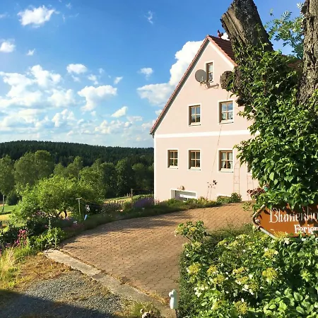With Amenities, Garden And Sauna Apartment